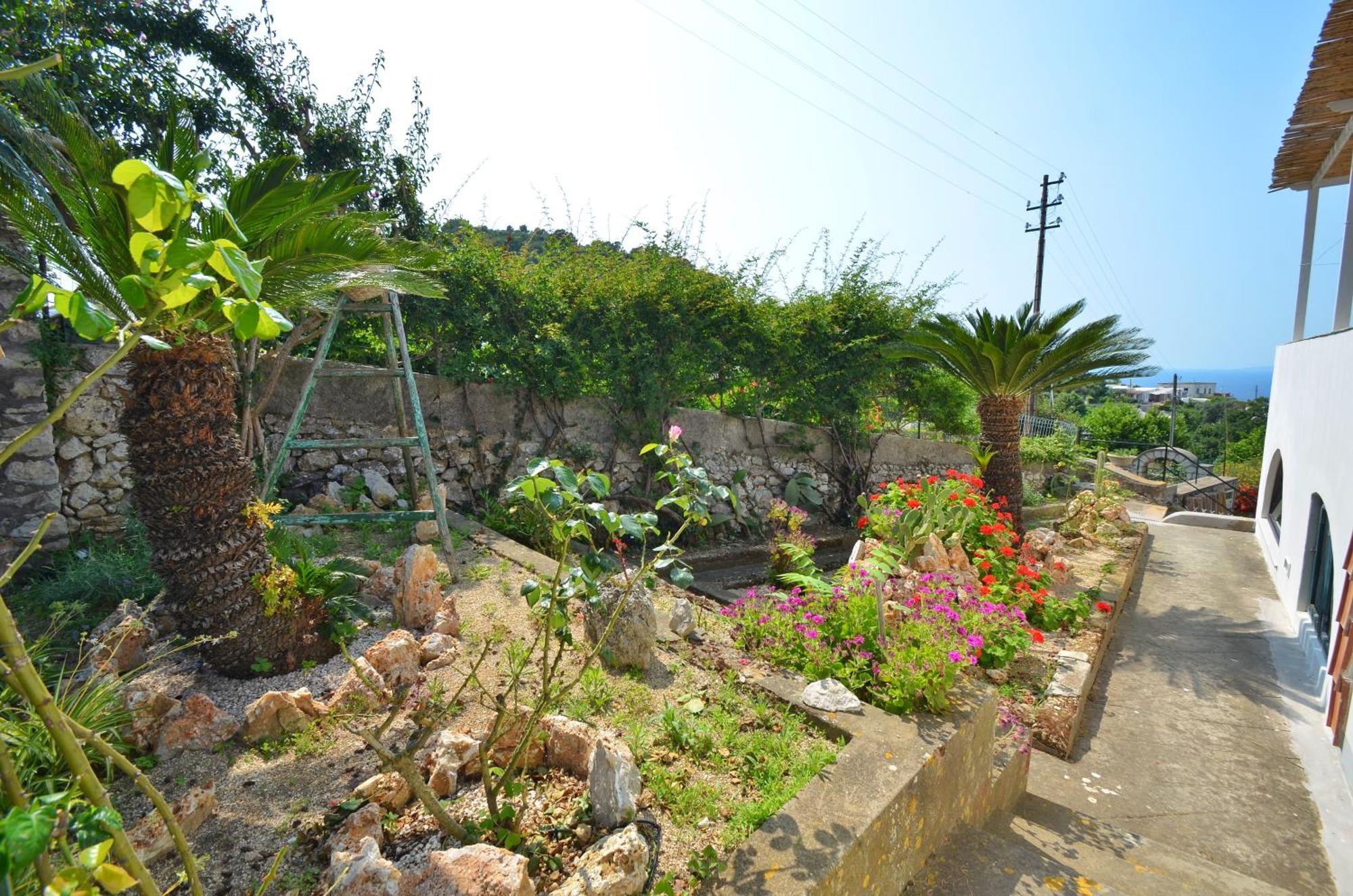 Villa Pasquale Capri Buitenkant foto