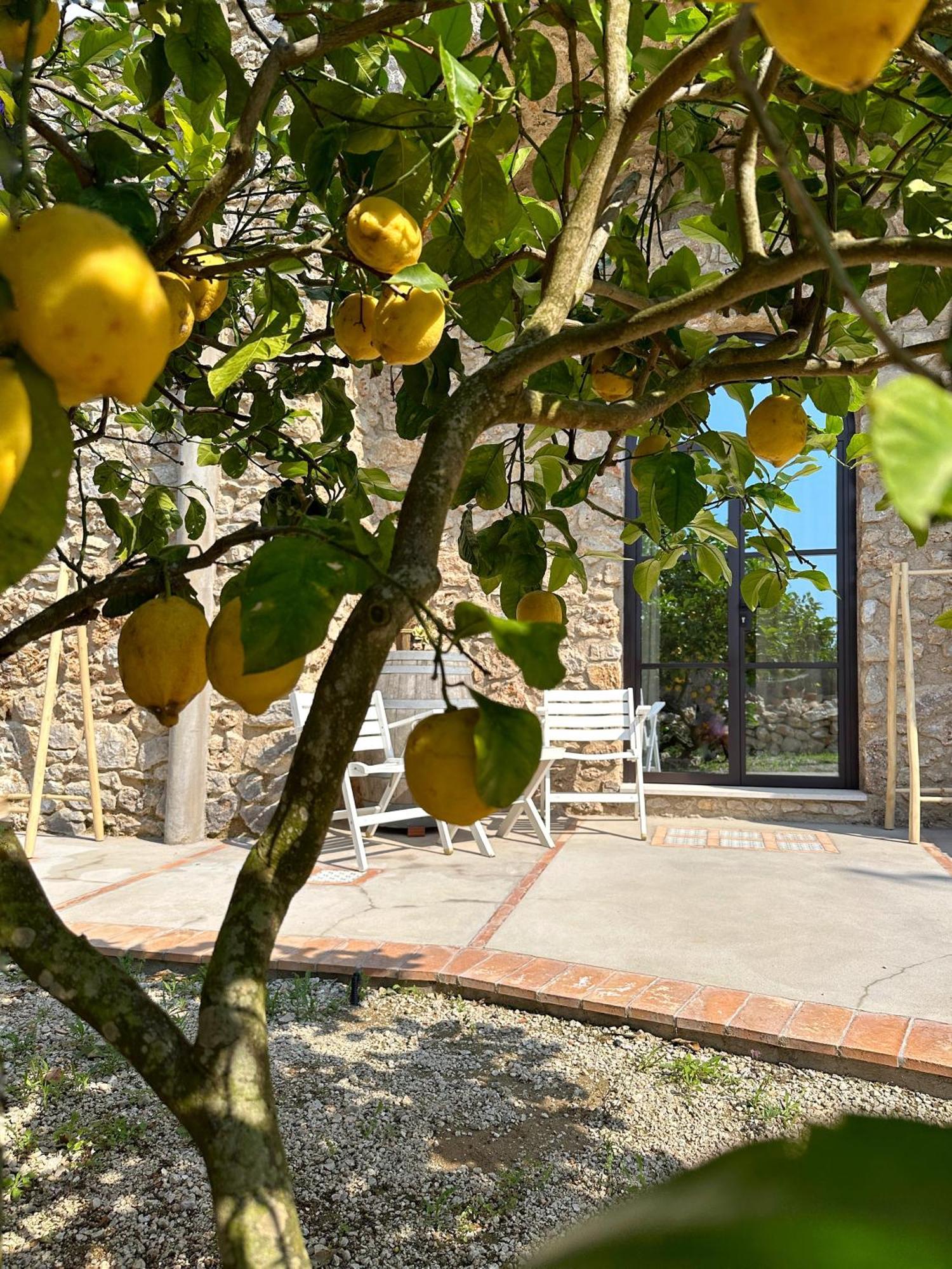 Villa Pasquale Capri Buitenkant foto